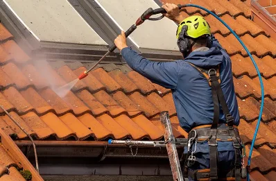 Démoussage et hydrofuge de toiture à Sanxay